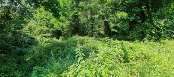 قطعة أرض في Roquecourbe, France رقم 62287 2