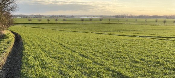 4 bedrooms Townhouse in Vorpommern-Rugen, Germany No. 174899 37