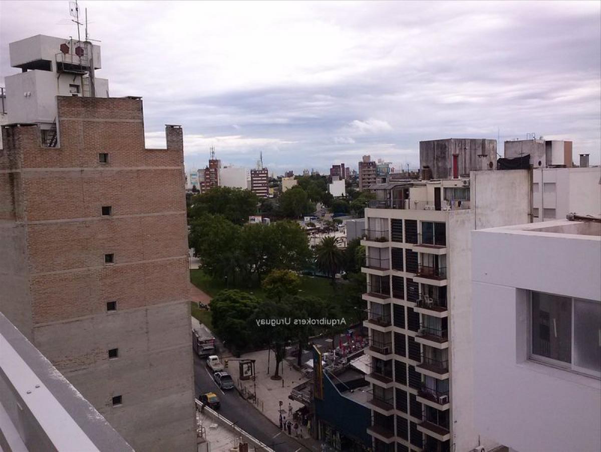 استوديو في Montevideo, Uruguay رقم 5751