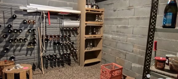 4 غرف نوم منزل في Olivet, France رقم 220059 19