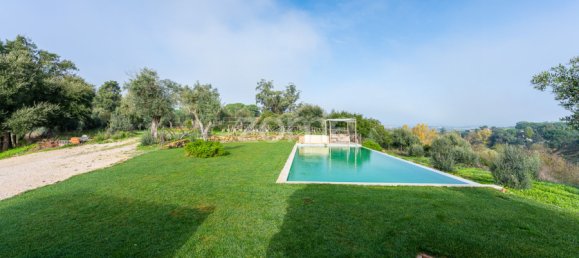 13 bedrooms House in Asseiceira, Portugal No. 125229 3