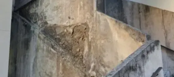 840m² Commercial property in Basque Autonomous Community, Spain No. 184172 17