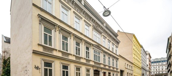 Studio in Rudolfsheim-Funfhaus, Austria, Nr. 100671 10