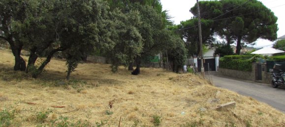  قطعة أرض في Madrid, Spain رقم 186501 13