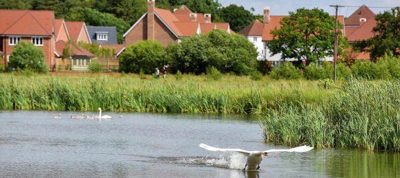 3 bedrooms House in Crookham Village, United Kingdom No. 3342 16