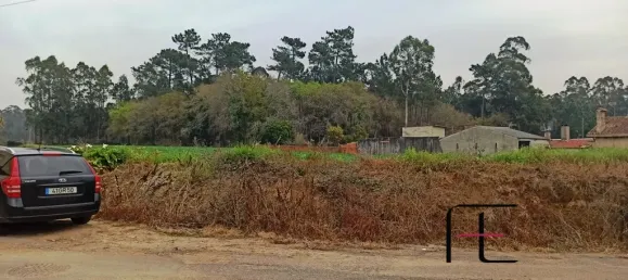  قطعة أرض في Valega, Portugal 4950متر مربع رقم 75071 2