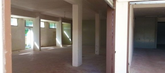 558m² Commercial property in Cerveteri, Italy No. 89181 2