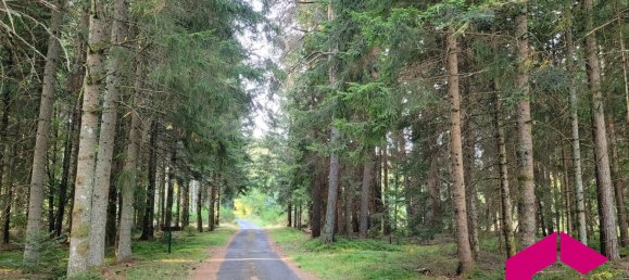 4 bedrooms House in Puy-de-Dome, France No. 355841 15