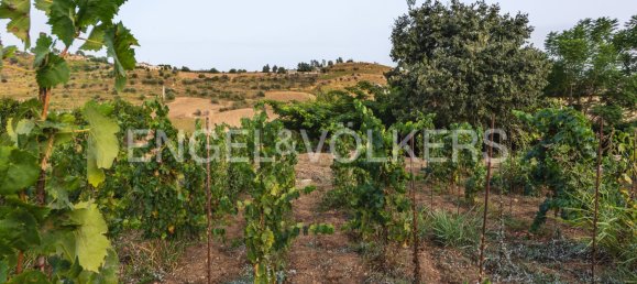 12 غرف نوم منزل في Caltagirone, Italy رقم 127777 32