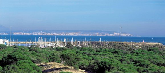 4 bedrooms Bungalow in Guardamar del Segura, Spain No. 10931 12