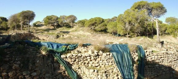 4 bedrooms Bungalow in Guardamar del Segura, Spain No. 10931 17