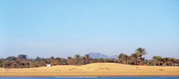 4 bedrooms Bungalow in Guardamar del Segura, Spain No. 10931 13