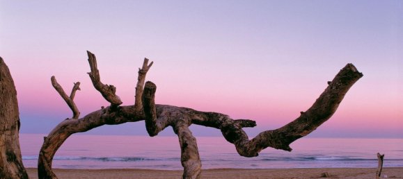 4 bedrooms Bungalow in Guardamar del Segura, Spain No. 10931 14