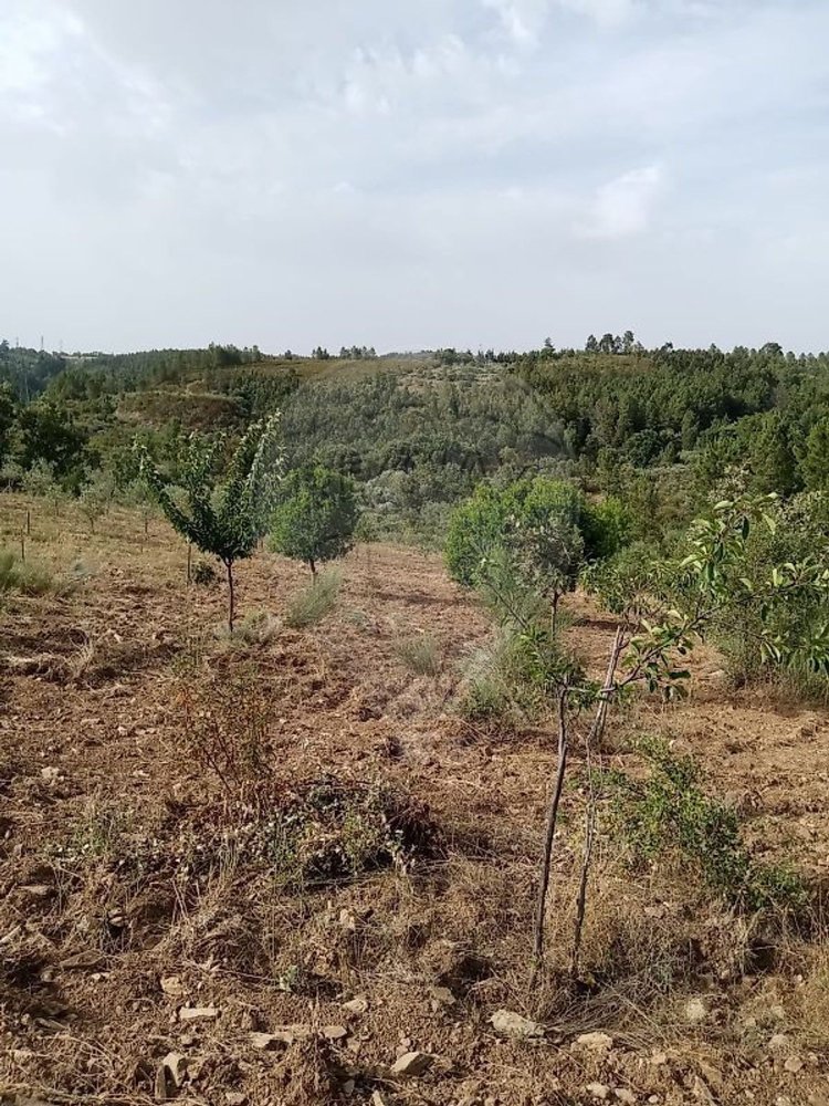  قطعة أرض في Vale da Senhora da Povoa, Portugal رقم 218313