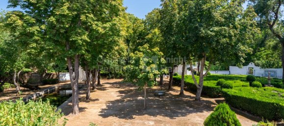 9 bedrooms House in Borba, Portugal No. 125259 12