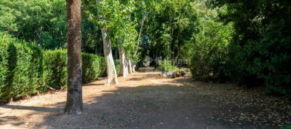 9 bedrooms House in Borba, Portugal No. 125259 13