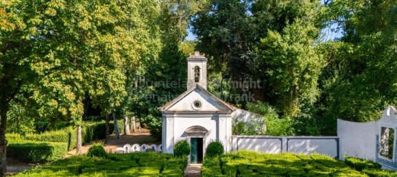 9 bedrooms House in Borba, Portugal No. 125259 6