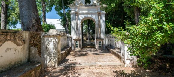 9 bedrooms House in Borba, Portugal No. 125259 7