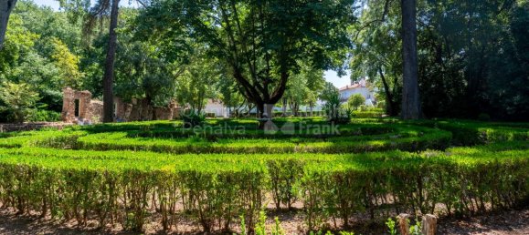 9 bedrooms House in Borba, Portugal No. 125259 3