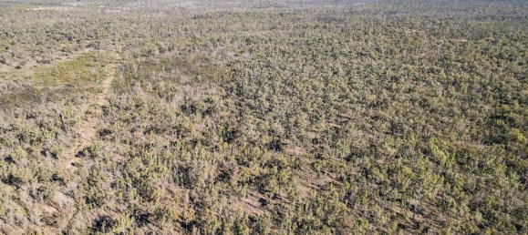 Terreno en Condamine Farms, Australia 1030000 m² No. 403 7