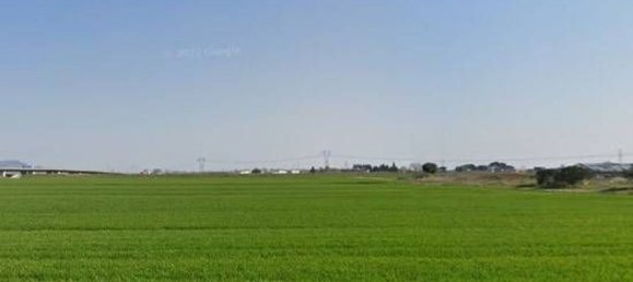 6 rooms Apartment in Cascina, Italy No. 37846 7