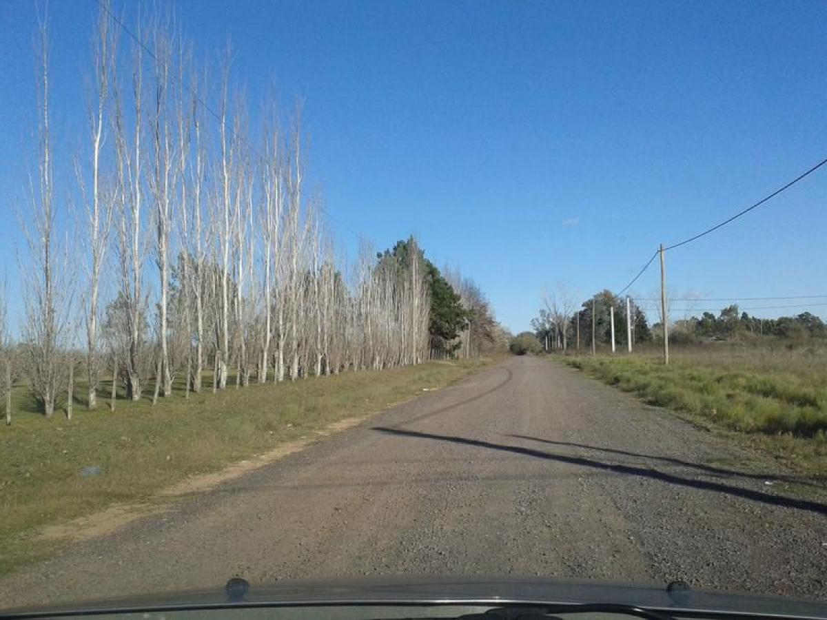 Grundstück in Campo Creado, Argentina, Nr. 50168