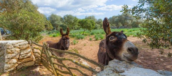 Casa T4 em Menorca, Spain N.º 158053 19