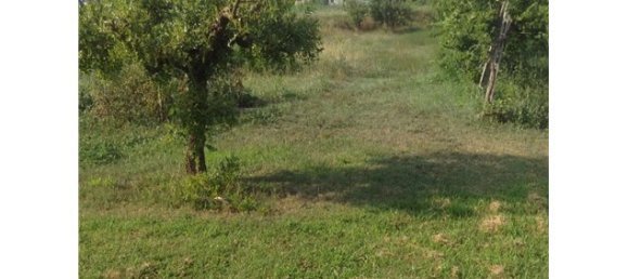 3 bedrooms Villa in Gavello, Italy No. 11520 6