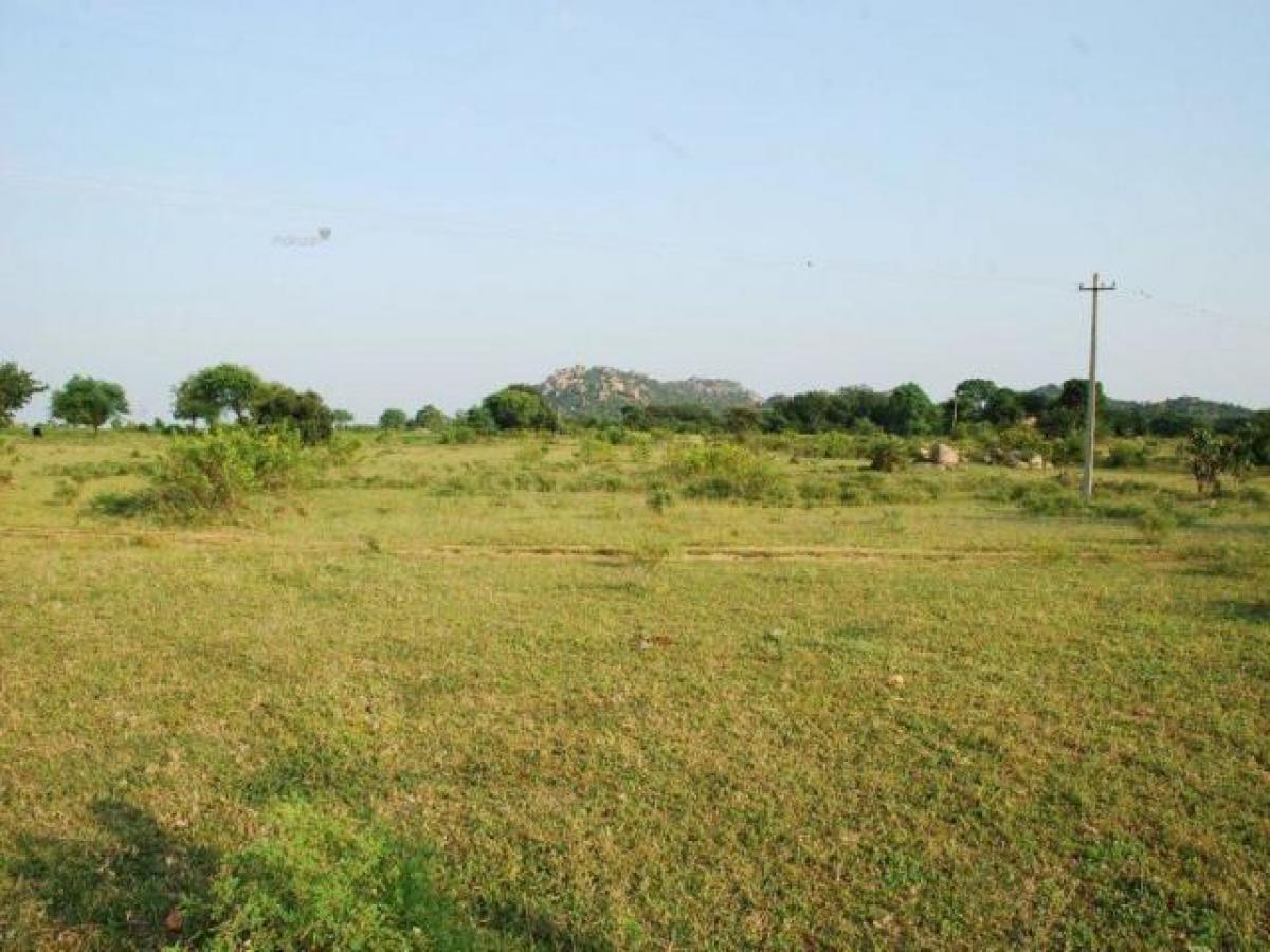  Land in Hyderabad, India No. 31296