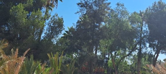 5 bedrooms Villa in Alicante, Spain No. 177159 34