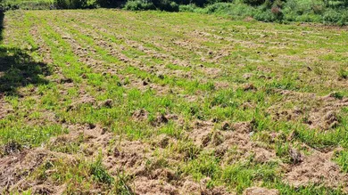 Grundstück in Hürm, Austria, Nr. 126697
