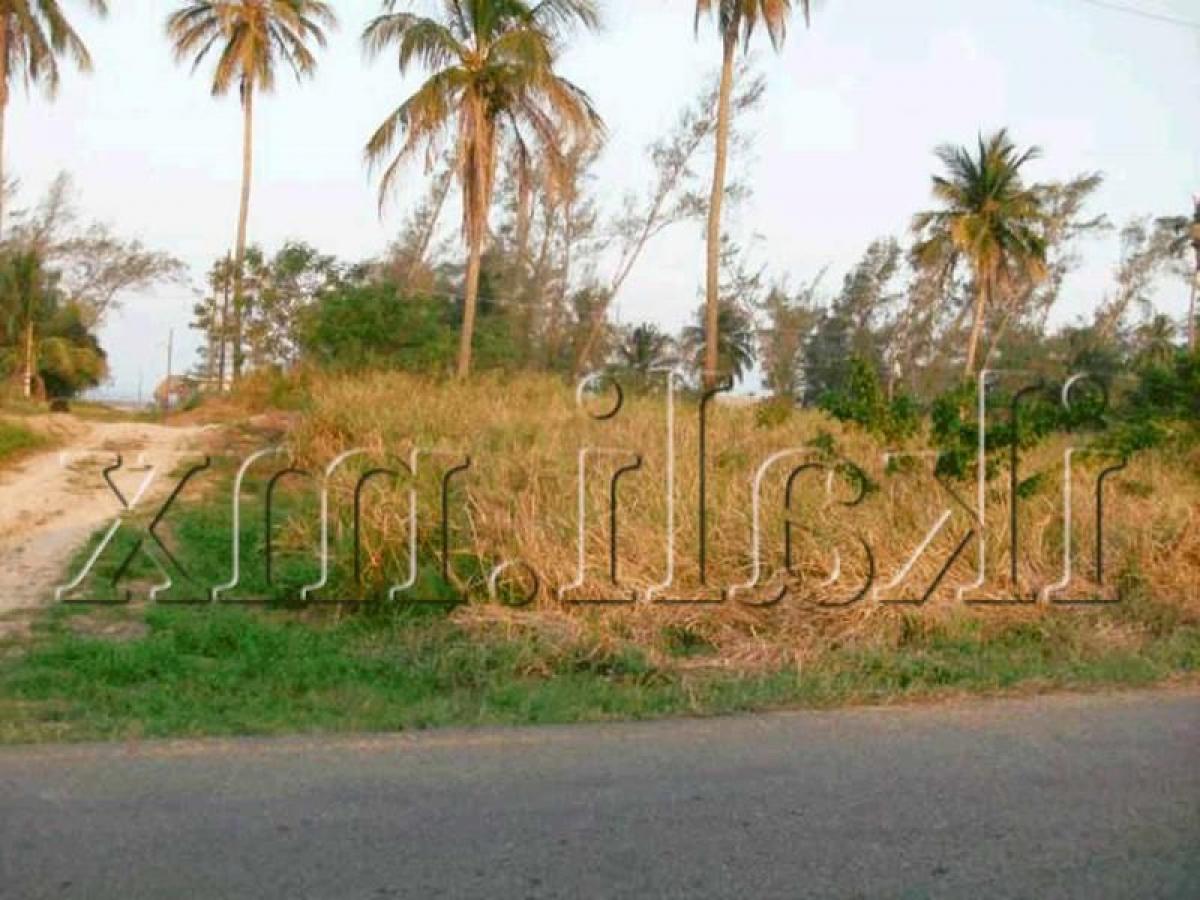 Земельный участок в Веракрус, Мексика № 205664