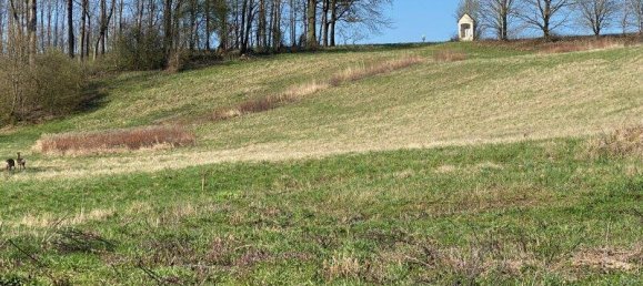 Grundstück in Krenglbach, Austria, Nr. 163046 3