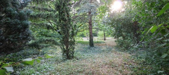 2 rooms Apartment in Maria Enzersdorf, Austria No. 137758 11