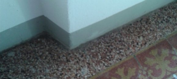 2 rooms House in Riparbella, Italy No. 255768 3