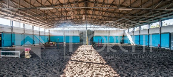 30غرفة فندق في Rosignano Marittimo, Italy رقم 138848 30