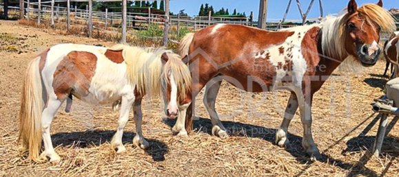 30غرفة فندق في Rosignano Marittimo, Italy رقم 138848 34