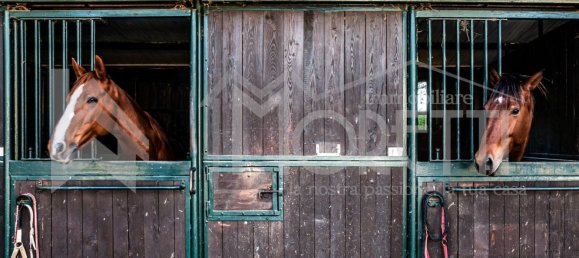 30غرفة فندق في Rosignano Marittimo, Italy رقم 138848 29