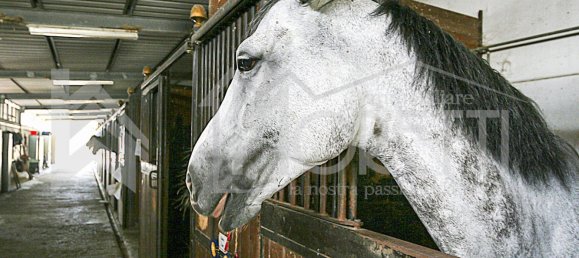 30غرفة فندق في Rosignano Marittimo, Italy رقم 138848 31