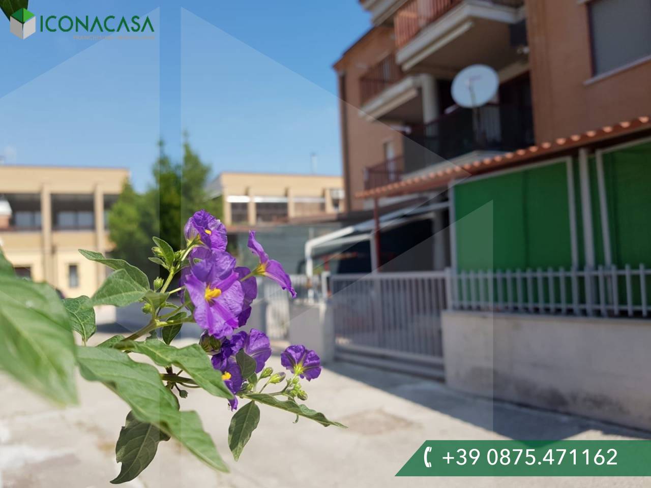 4 rooms Apartment in Campomarino, Italy No. 24128