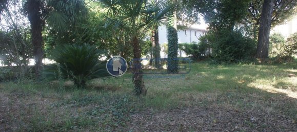  Land in Sant'Agata sul Santerno, Italy No. 338987 20