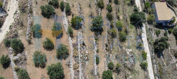 4 chambres Villa à Noto, Italy No. 81388 21