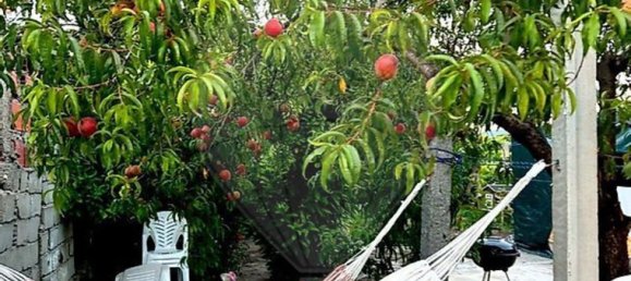 2 bedrooms House in Mire de Tibaes, Portugal No. 165024 18