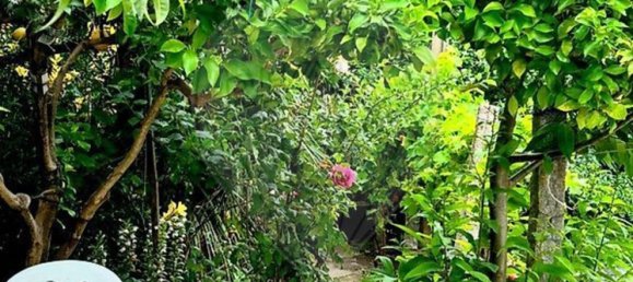 2 bedrooms House in Mire de Tibaes, Portugal No. 165024 19