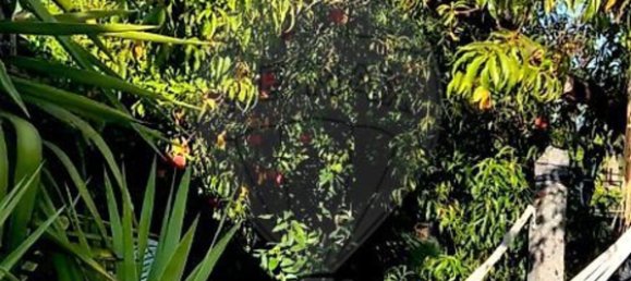 2 bedrooms House in Mire de Tibaes, Portugal No. 165024 20