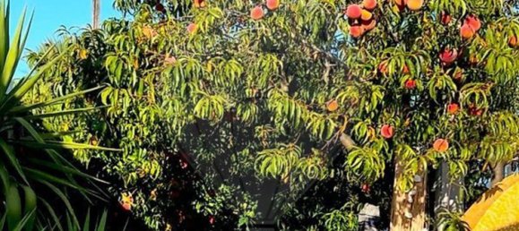 2 bedrooms House in Mire de Tibaes, Portugal No. 165024 22