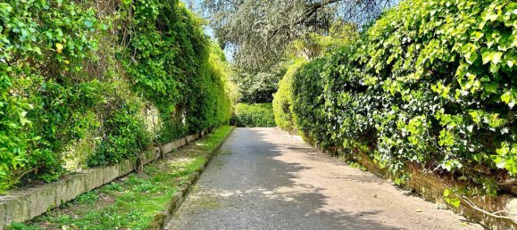 7 bedrooms Villa in Rome, Italy No. 46809 46