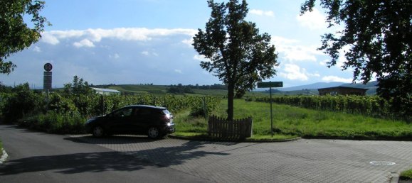  Castillos de 8 habitaciónes en Gumpoldskirchen, Austria No. 201003 10