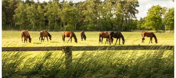 Дом с 18 комнатами в Тутлинген, Германия № 85717 2
