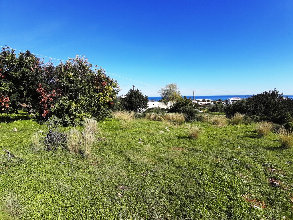 Terreno em Malia, Greece 24000 m² N.º 92599